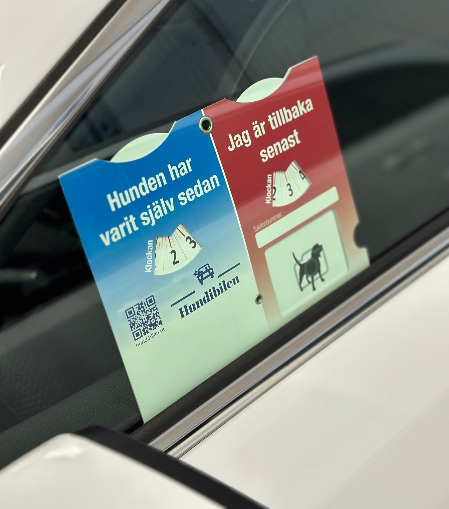 Hundskivan